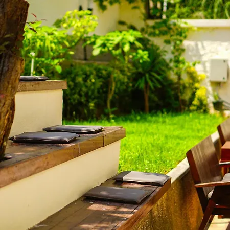 فندق Palm Bueyuekada *