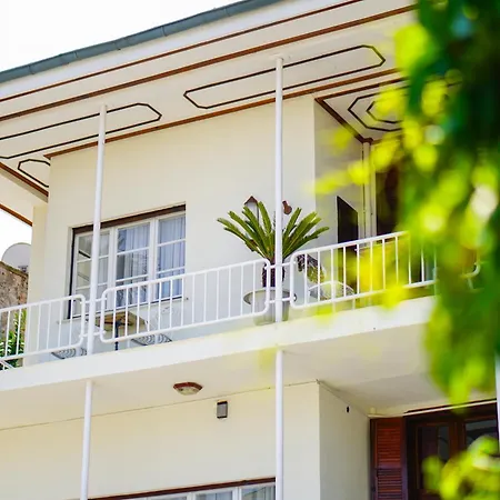 מלון Palm Bueyuekada