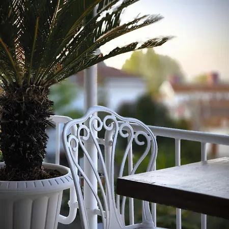 Palm Bueyuekada Szálloda
