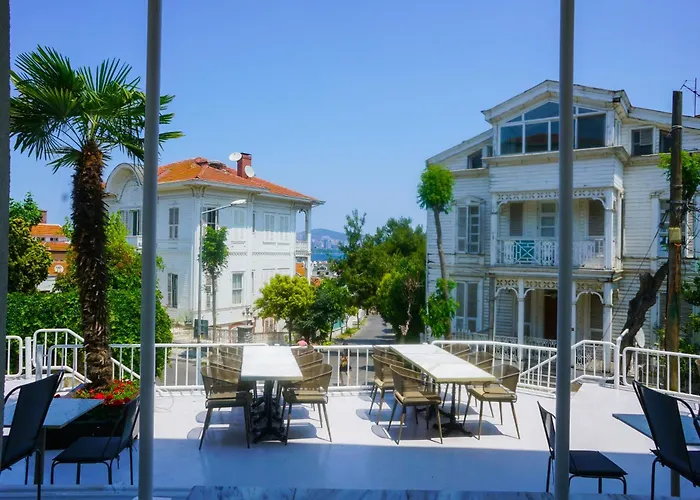 Palm Bueyuekada * Stambuł