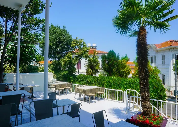 Hotel Palm Bueyuekada *