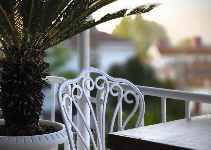 Palm Bueyuekada Hotel