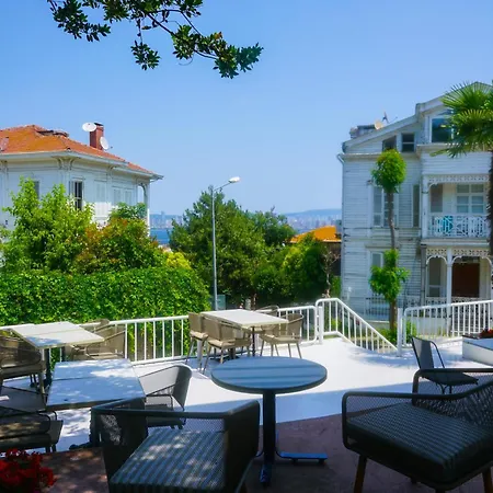 Palm Bueyuekada 호텔